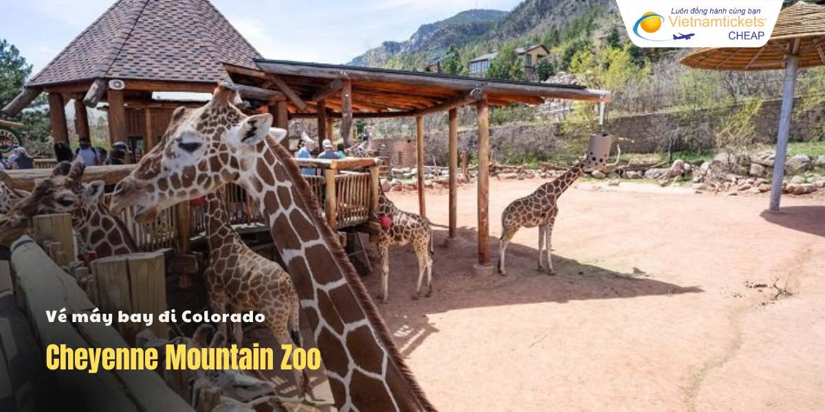 Cheyenne Mountain Zoo