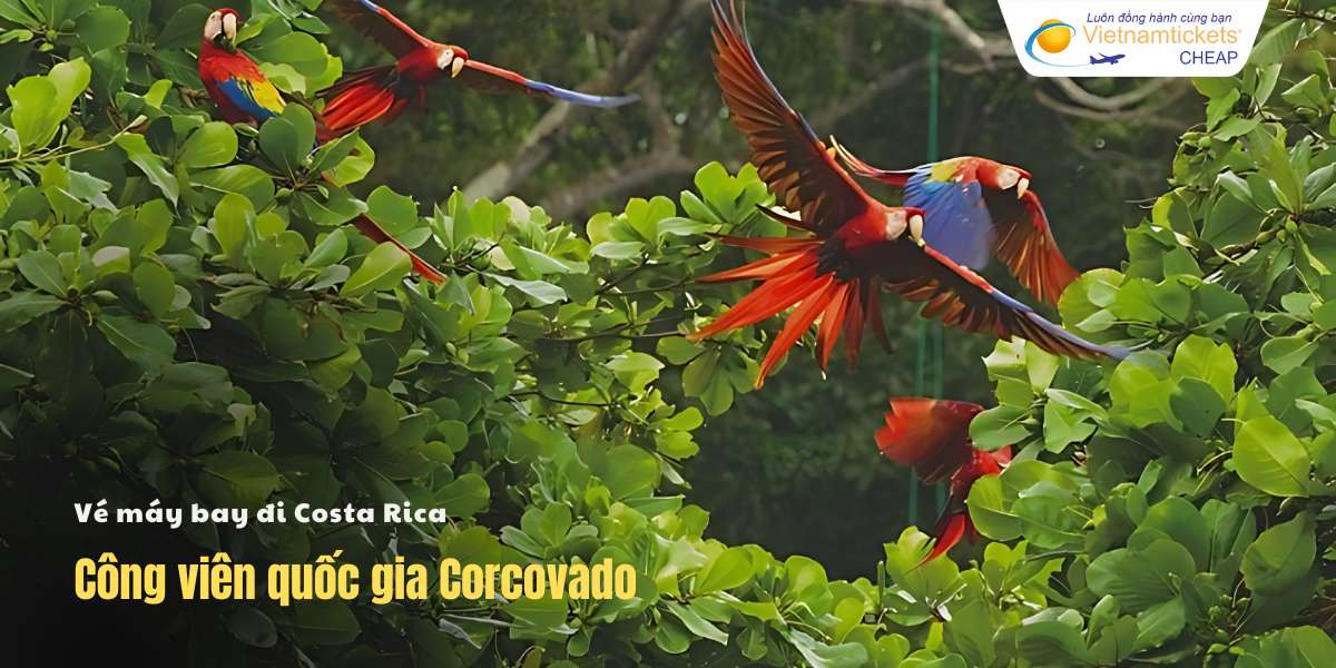 Công viên quốc gia Corcovado
