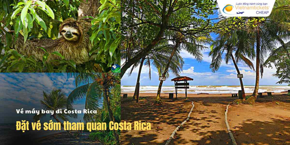 Đặt vé sớm tham quan Costa Rica