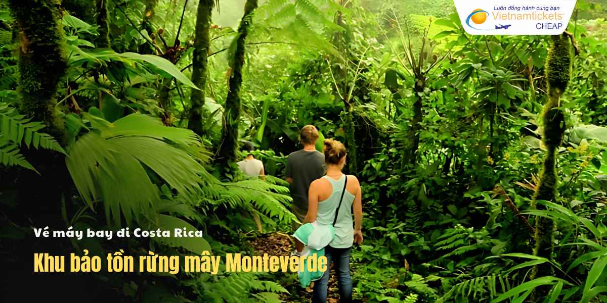 Khu bảo tồn rừng mây Monteverde