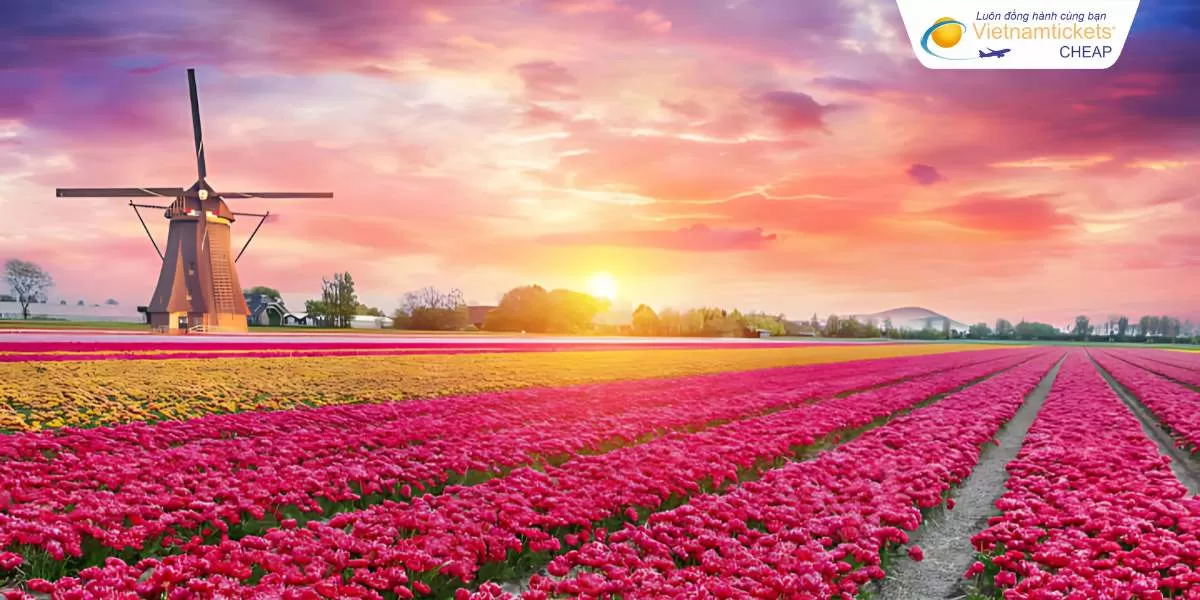 Vườn hoa Keukenhof