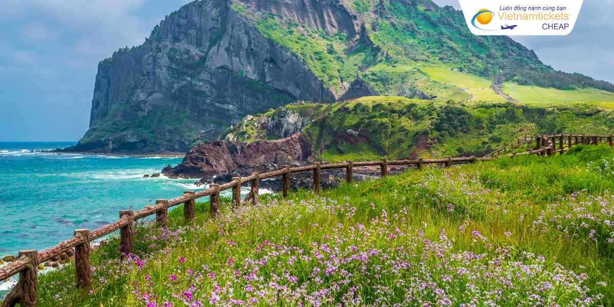 Đảo Jeju Hàn Quốc