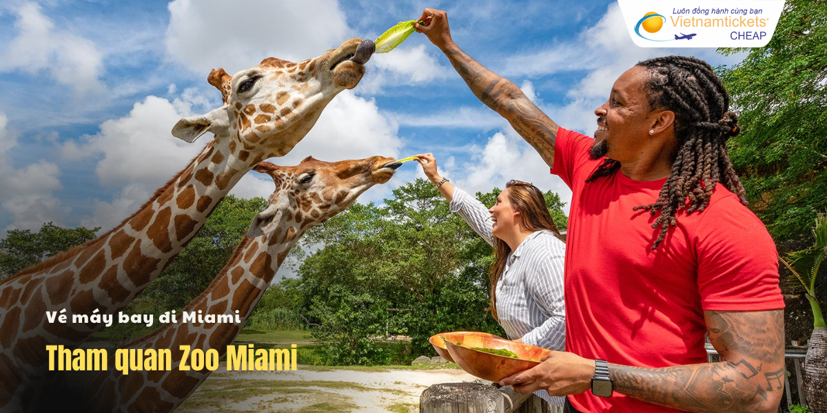 Tham quan Zoo Miami