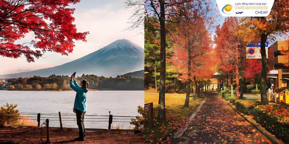 Tham quan Hokkaido