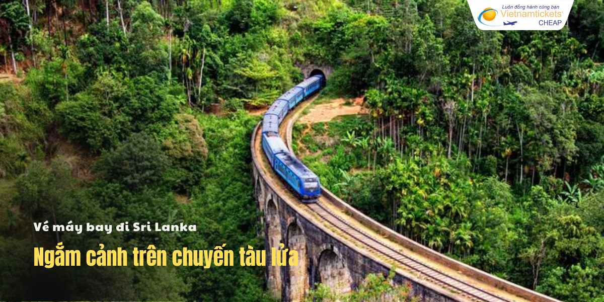 Ngắm cảnh trên chuyến tàu lửa