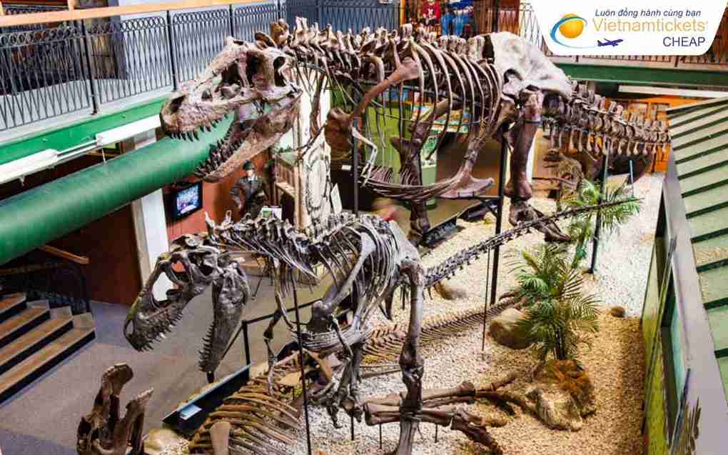 Bảo tàng kho báu thế giới