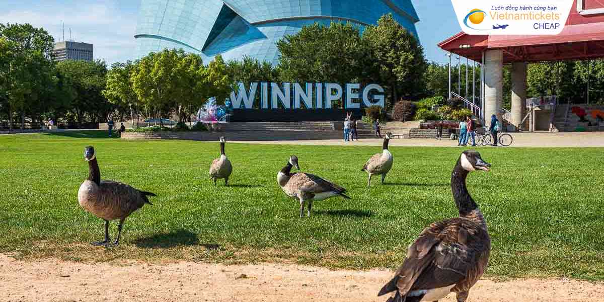 Thông tin vé máy bay đi Winnipeg