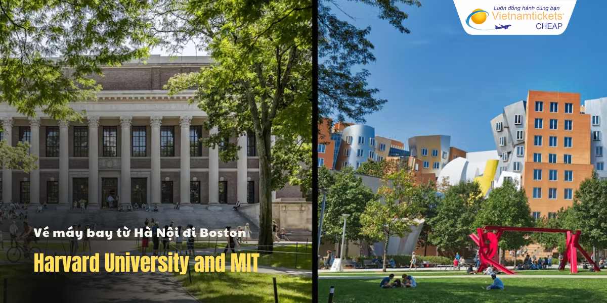 Harvard University and MIT