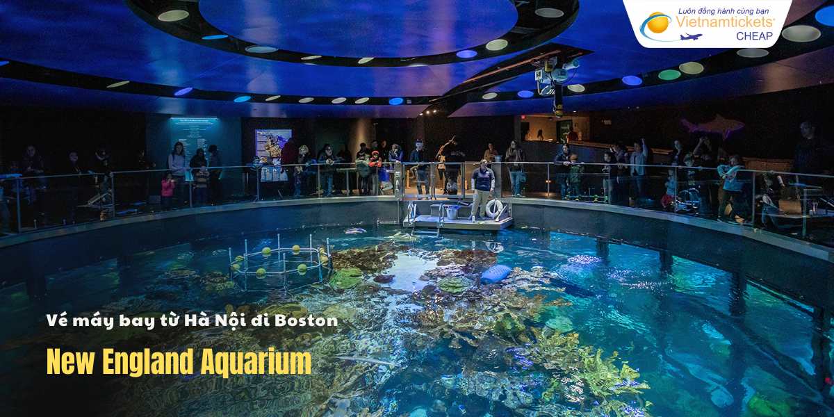 Tham quan New England Aquarium