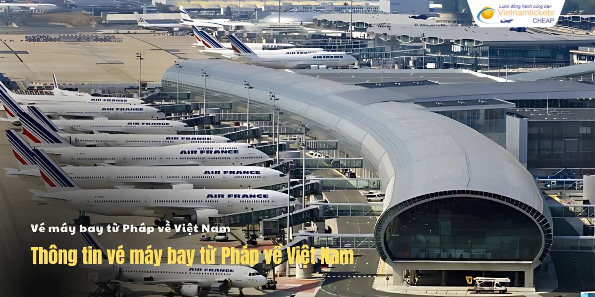 Thông tin vé máy bay từ Pháp về Việt Nam